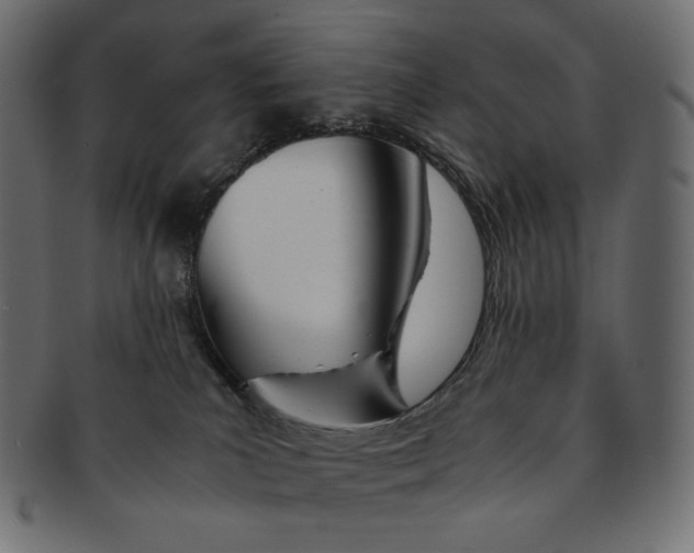 X0000091520039200709071027