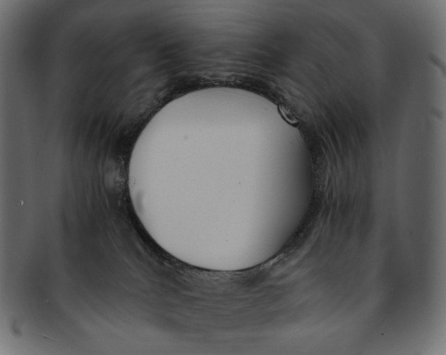 X0000091520040200709071027