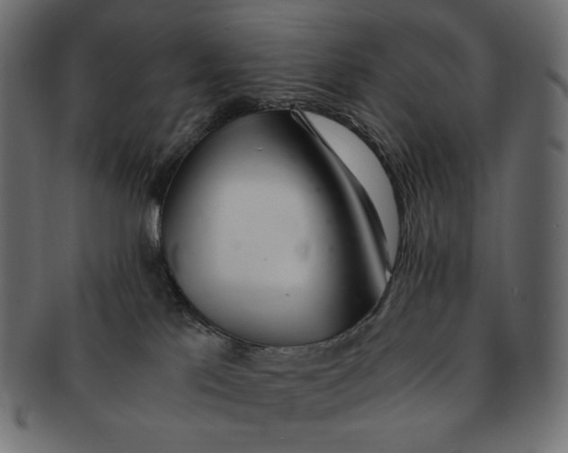 X0000091520041200709071027