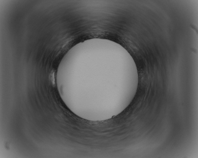 X0000091520042200709071027