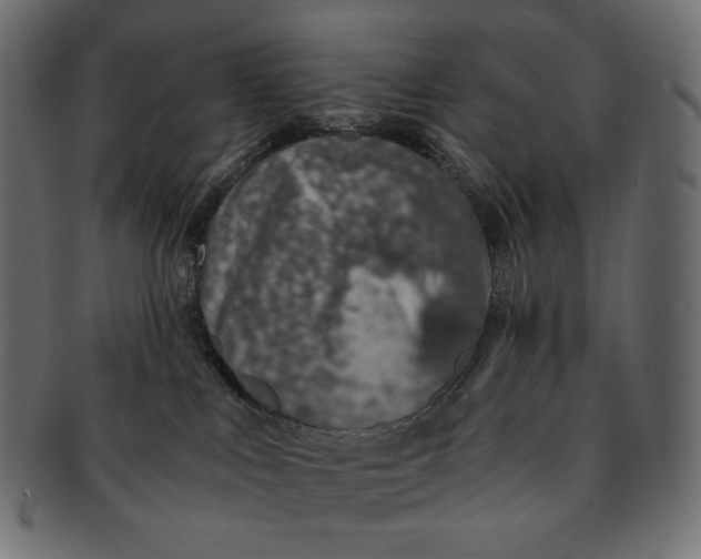 X0000091520043200709071027