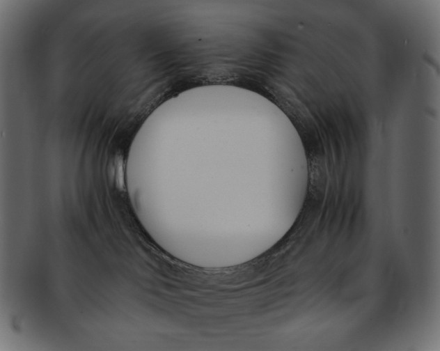 X0000091520046200709071027