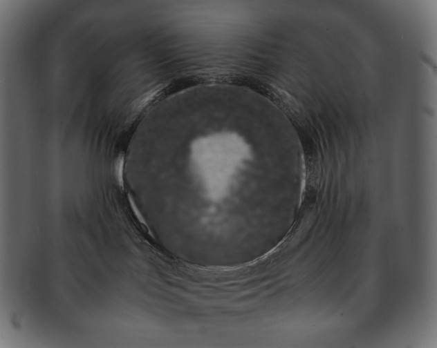 X0000091520047200709071027