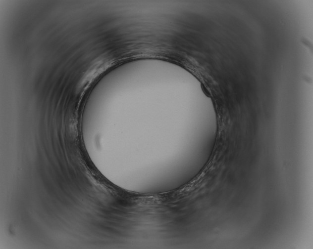 X0000091520050200709071027