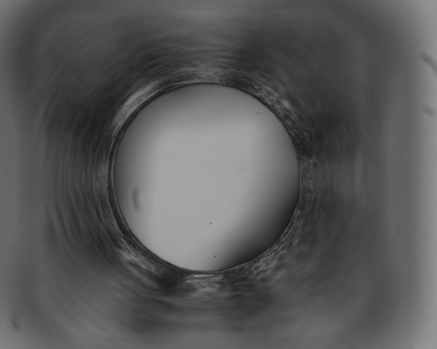 X0000091520051200709071027