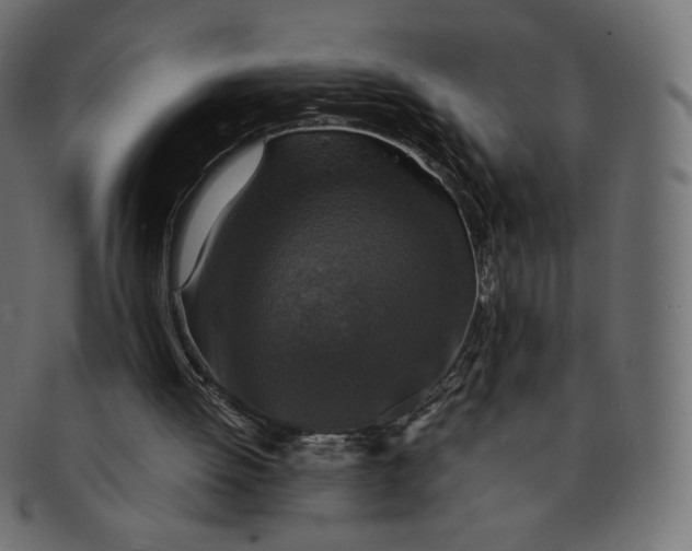 X0000091520052200709071027