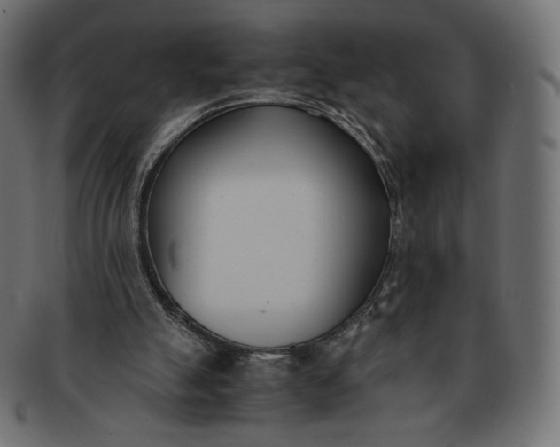 X0000091520055200709071027