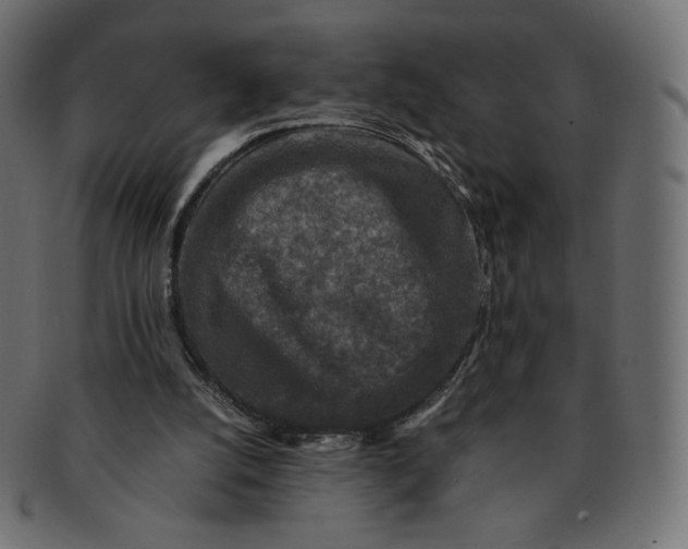 X0000091520056200709071027