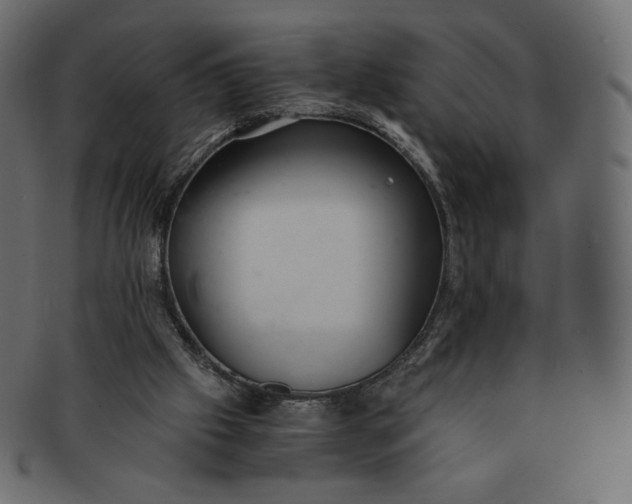 X0000091520057200709071027