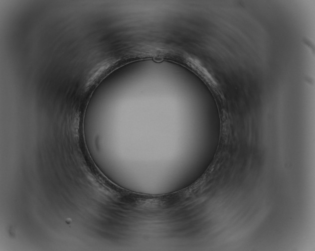 X0000091520058200709071027