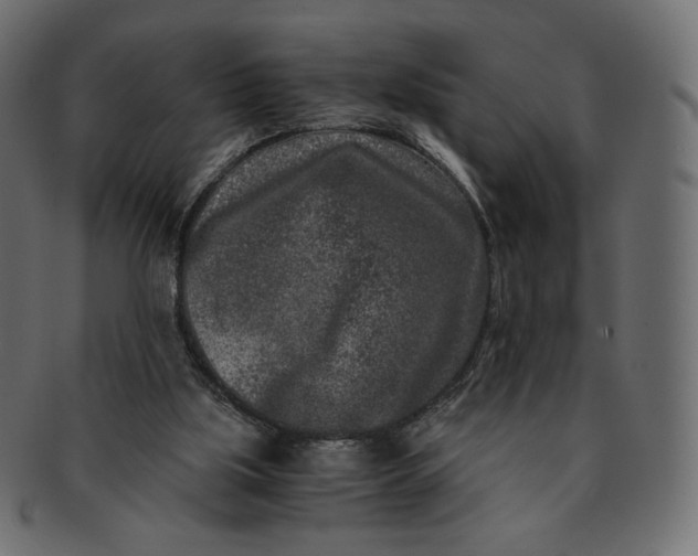 X0000091520059200709071027