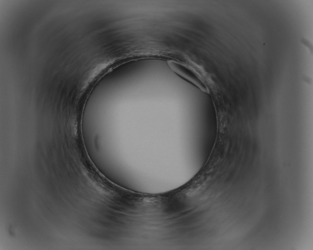 X0000091520060200709071027