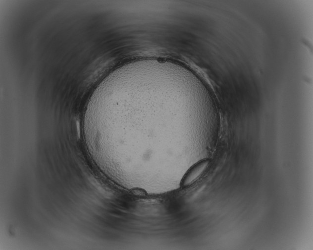 X0000091520061200709071027