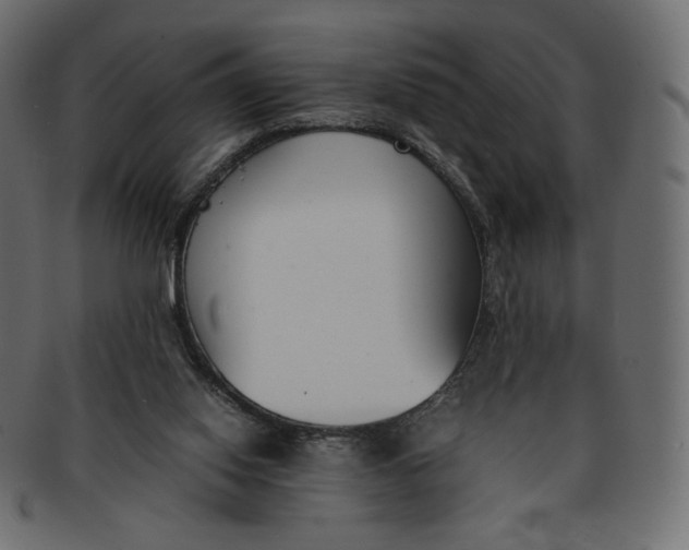 X0000091520062200709071027