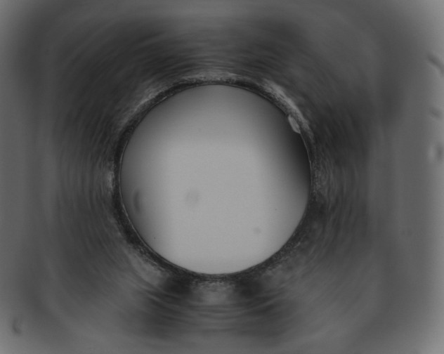 X0000091520063200709071027