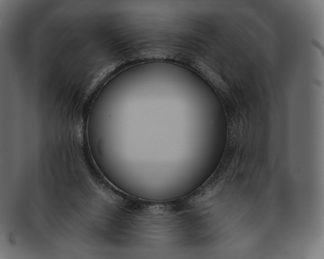 X0000091520064200709071027