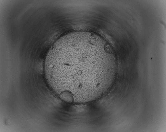 X0000091520065200709071027