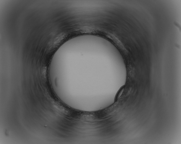 X0000091520066200709071027