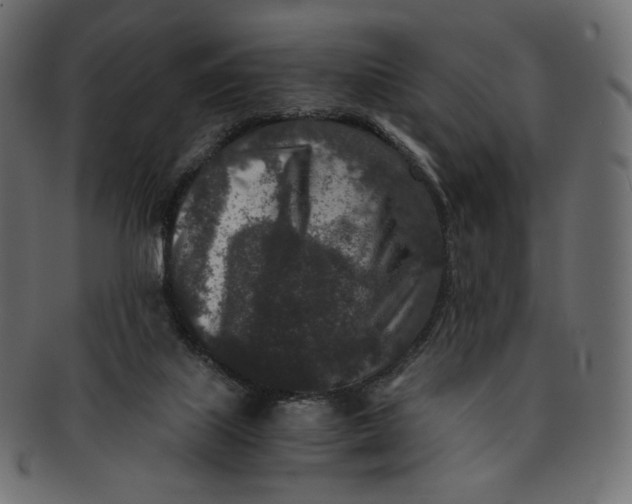 X0000091520067200709071027