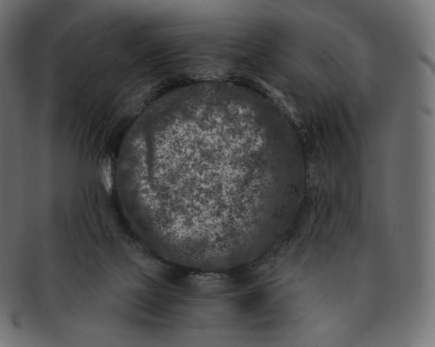 X0000091520069200709071027