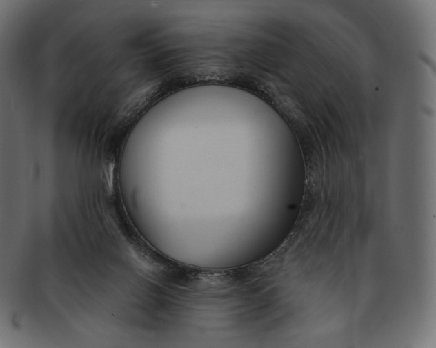 X0000091520070200709071027