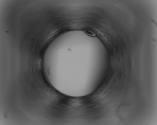 X0000091520071200709071027