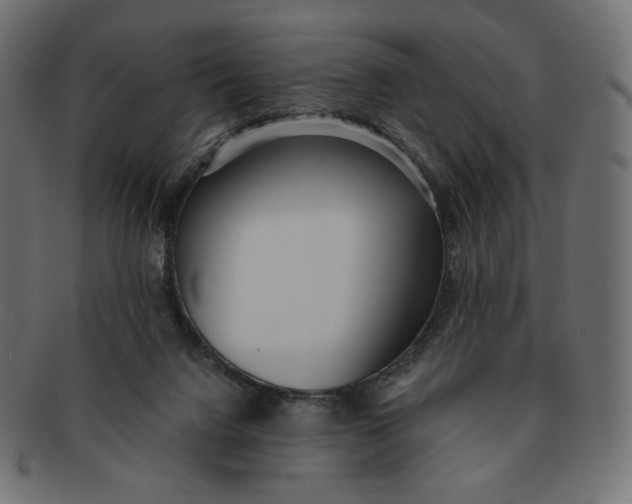 X0000091520072200709071027