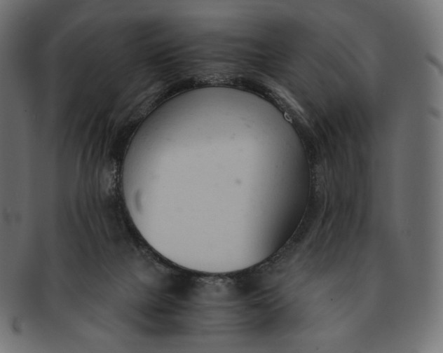 X0000091520073200709071027