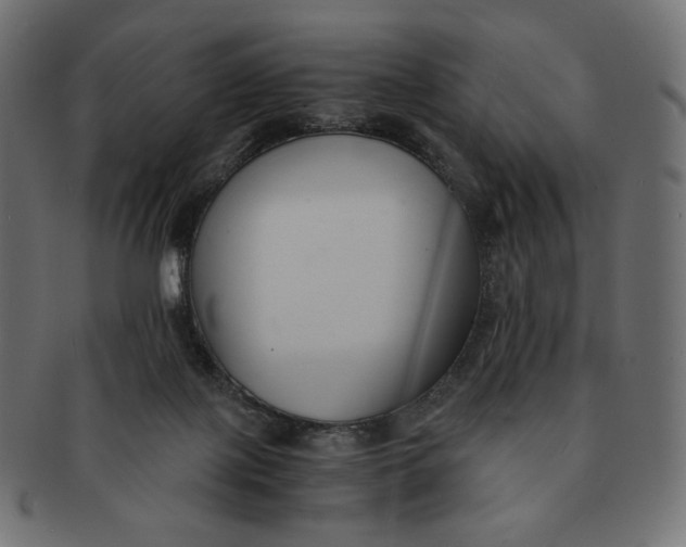 X0000091520075200709071027