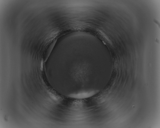 X0000091520076200709071027