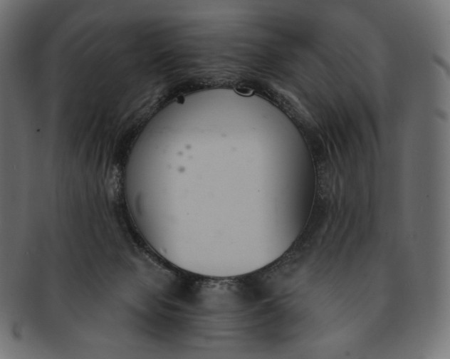 X0000091520077200709071027