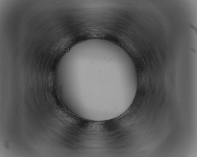 X0000091520078200709071027