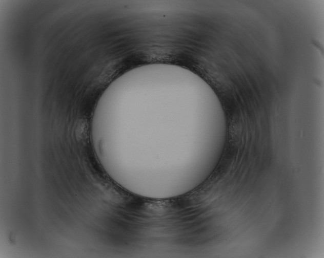 X0000091520079200709071027