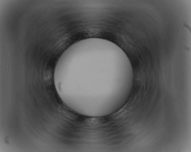 X0000091520082200709071027