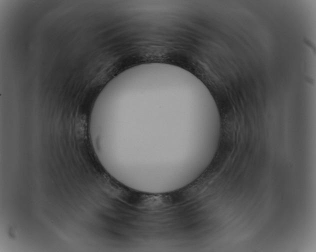 X0000091520083200709071027