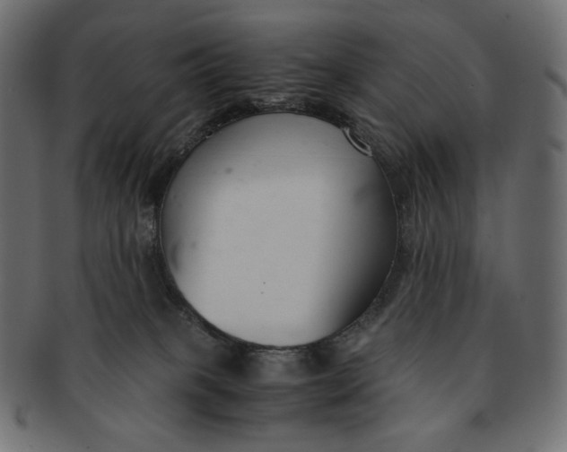 X0000091520085200709071027