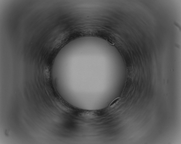 X0000091520086200709071027