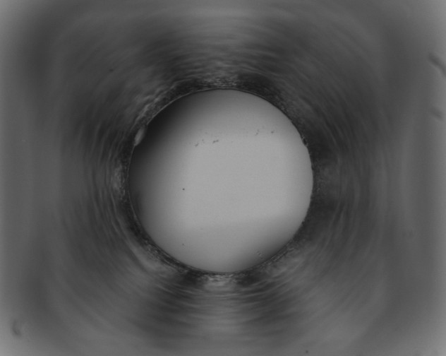 X0000091520088200709071027