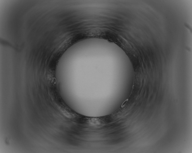 X0000091520091200709071027