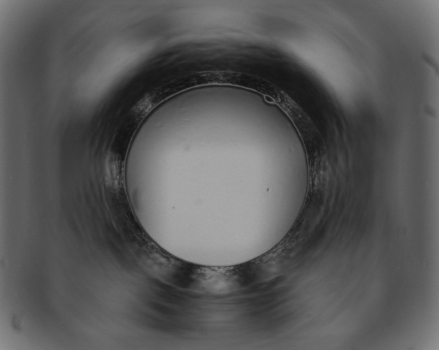 X0000091520093200709071027