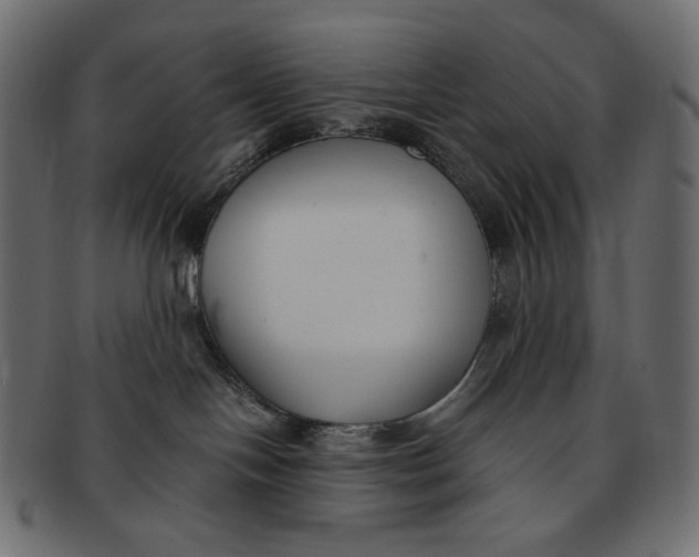 X0000091520094200709071027