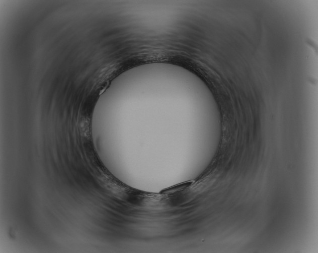 X0000091520096200709071027