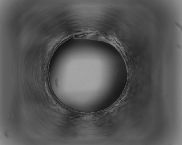 X0000091520097200709071027