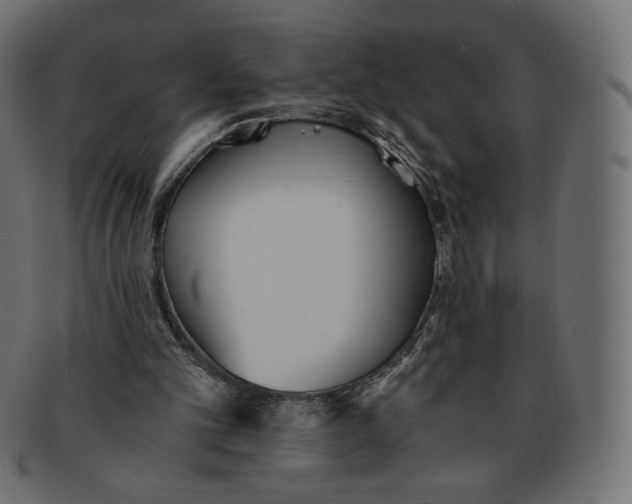 X0000091520101200709071026