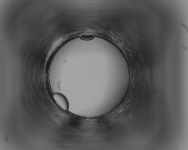 X0000091520102200709071026