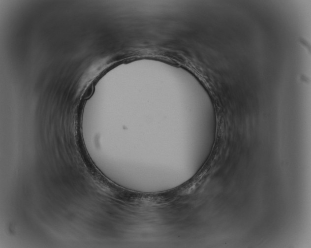 X0000091520103200709071026