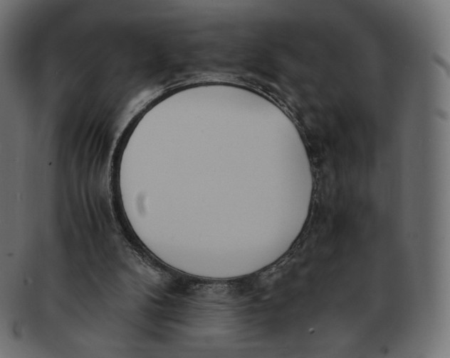 X0000091520104200709071026