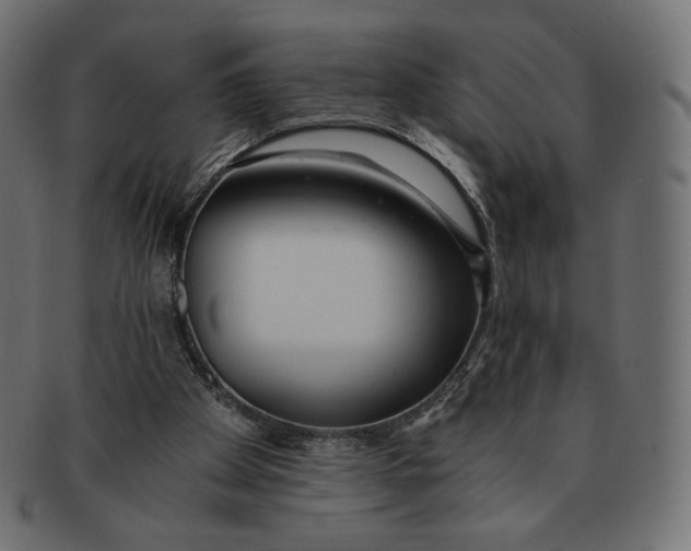 X0000091520105200709071026