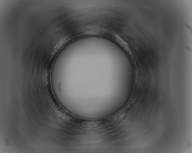 X0000091520106200709071026