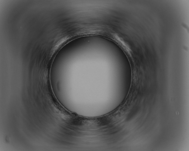 X0000091520107200709071026